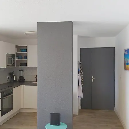 T3 Climatise, 3*, 50m De La Plage, Garage, Wifi Inclus - Fr-1-610-37 公寓 博尔马斯·莱斯·米默萨斯
